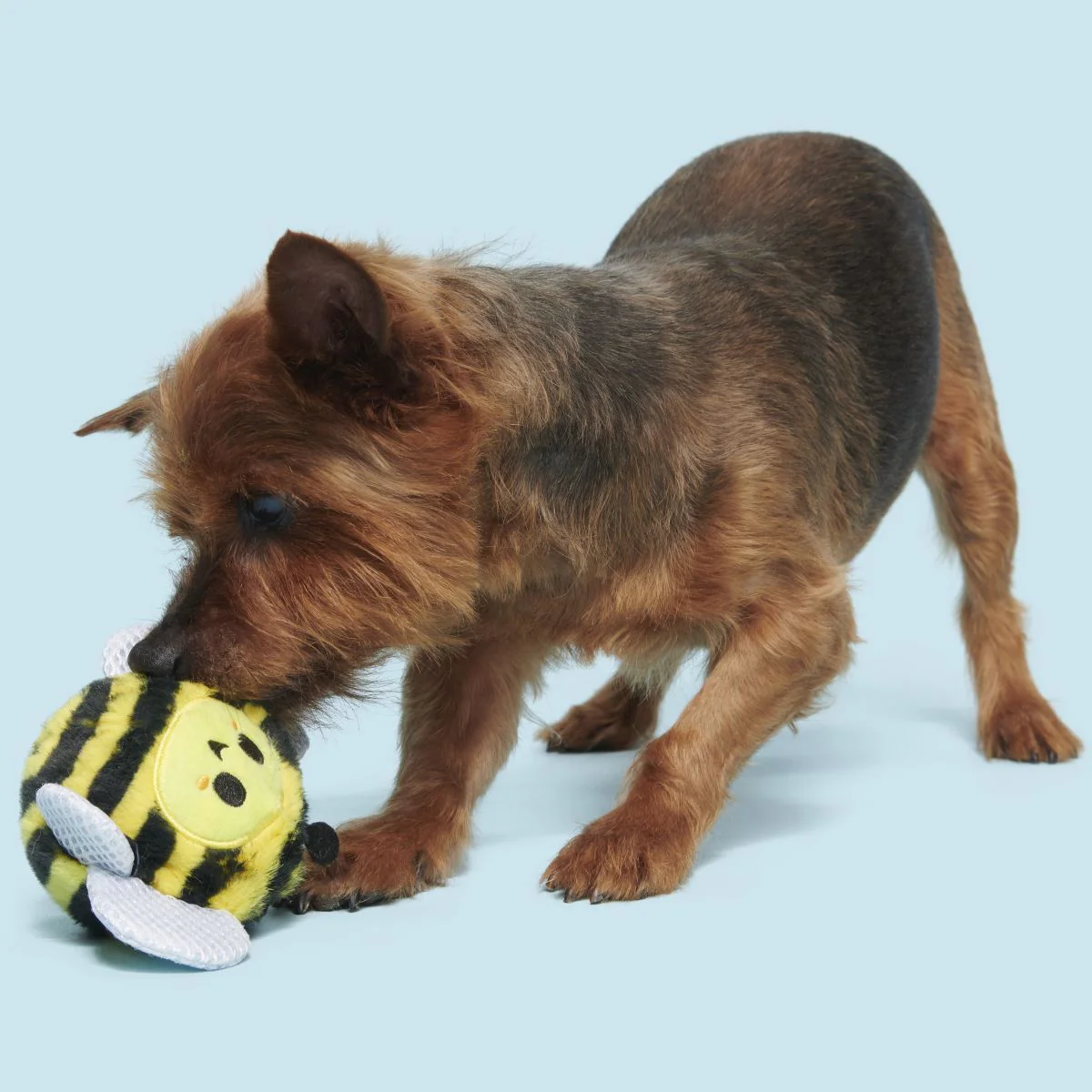 Buzzy Body Super Chewer Durable 2-in-1 Dog Toy - Image 5
