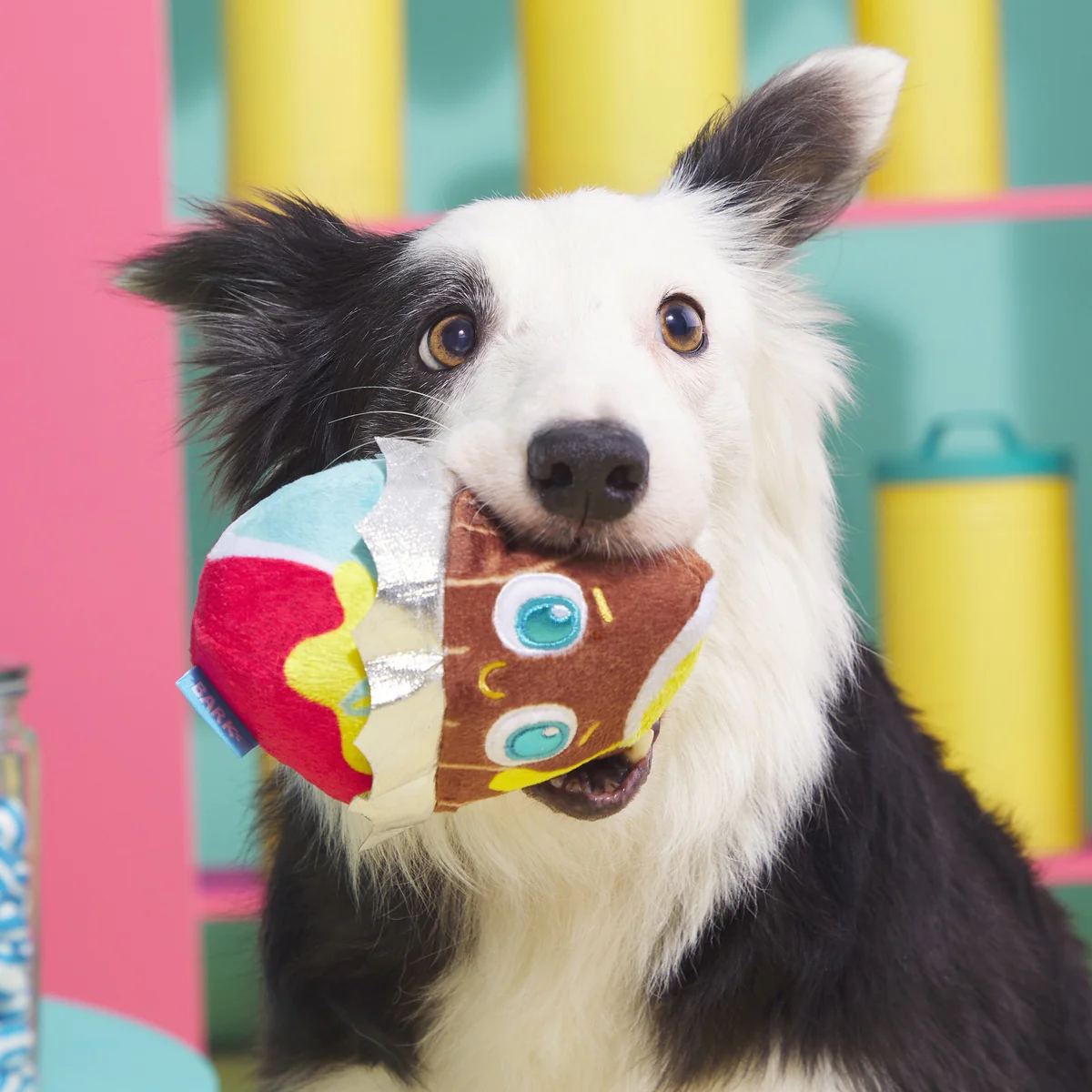 Cadfurry Eggs Plush Fetch Dog Toy - Image 4