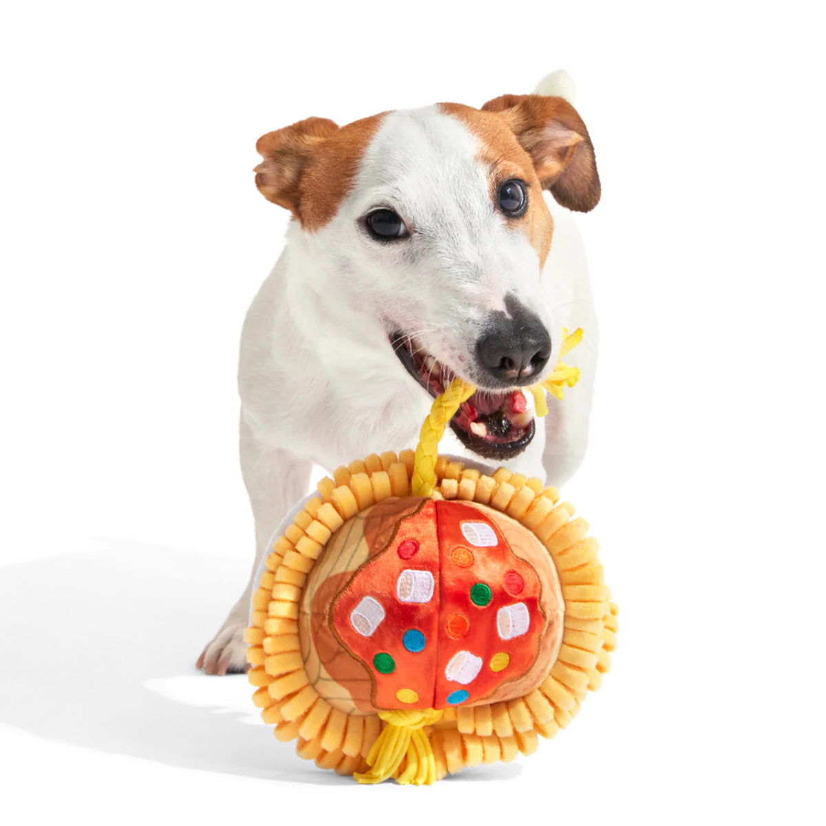 Candy Squeakghetti Plush Tug Dog Toy - Image 2