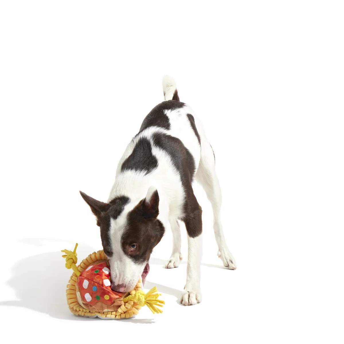 Candy Squeakghetti Plush Tug Dog Toy - Image 3