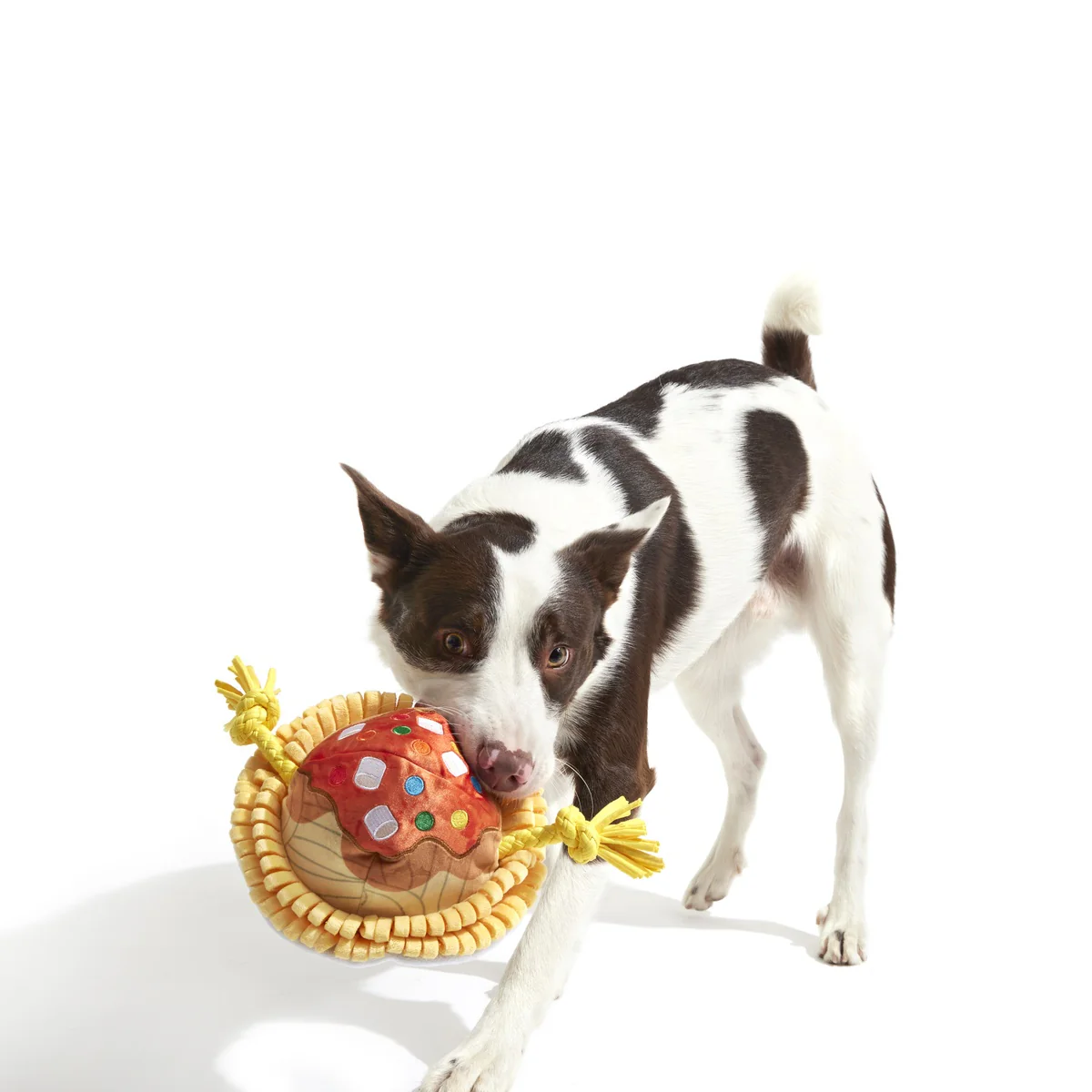 Candy Squeakghetti Plush Tug Dog Toy - Image 4