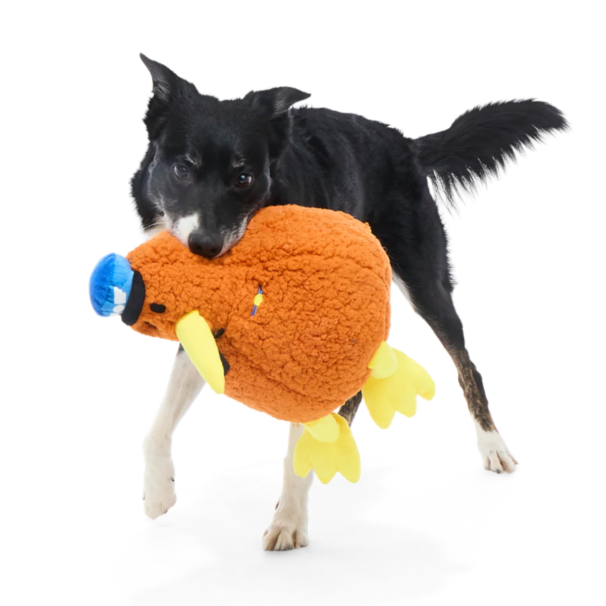 Captain Kiwi Plush Extra-Large Tug Dog Toy - Image 4