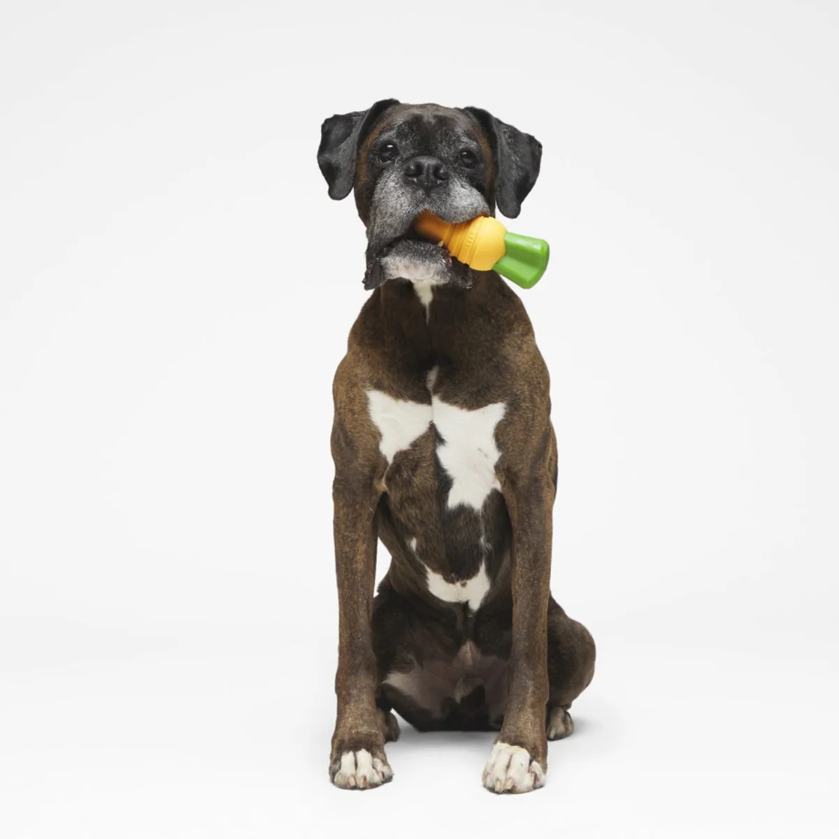 Carrot Durable Super Chewer Gnaw Dog Toy - Image 2