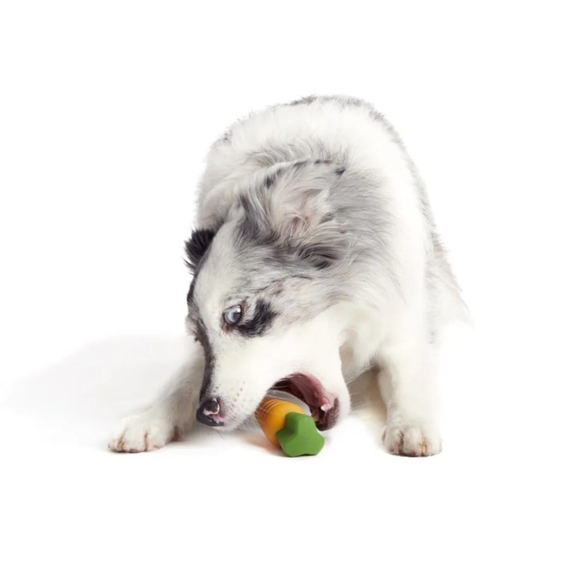 Carrot Durable Super Chewer Gnaw Dog Toy - Image 6