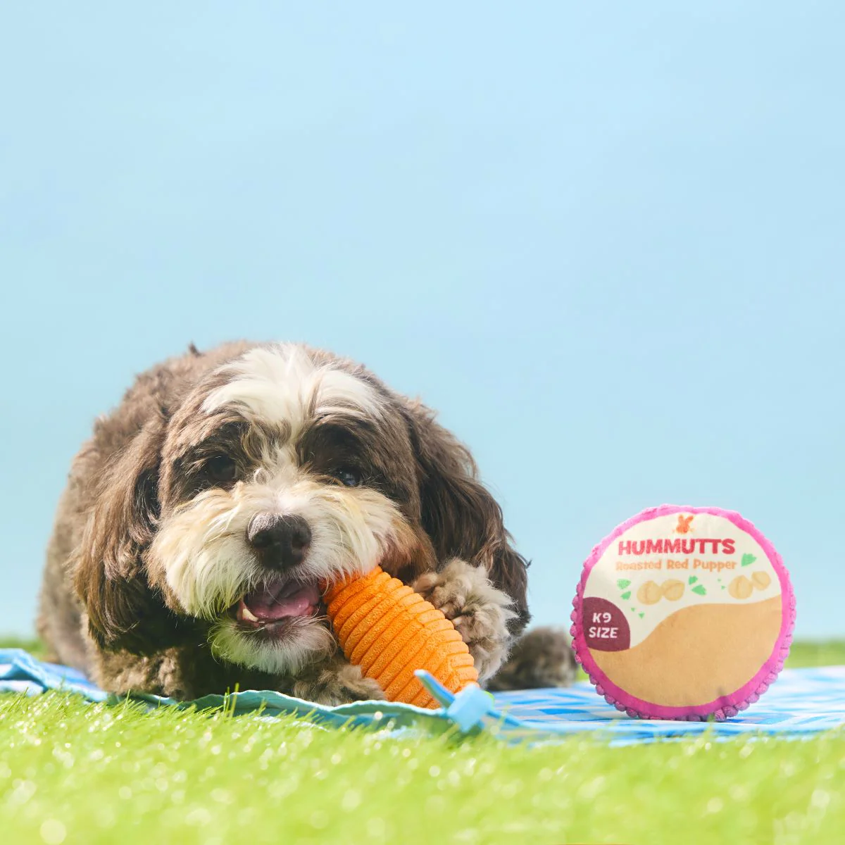 Carrot & Hummutts Plush Multi-Part Dog Toy - Image 3