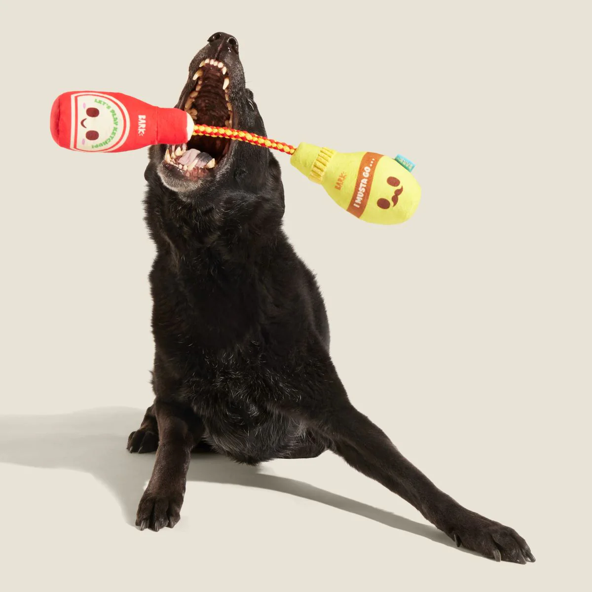 Cat & Mutt Condimutts Plush Tug Dog Toy - Image 3