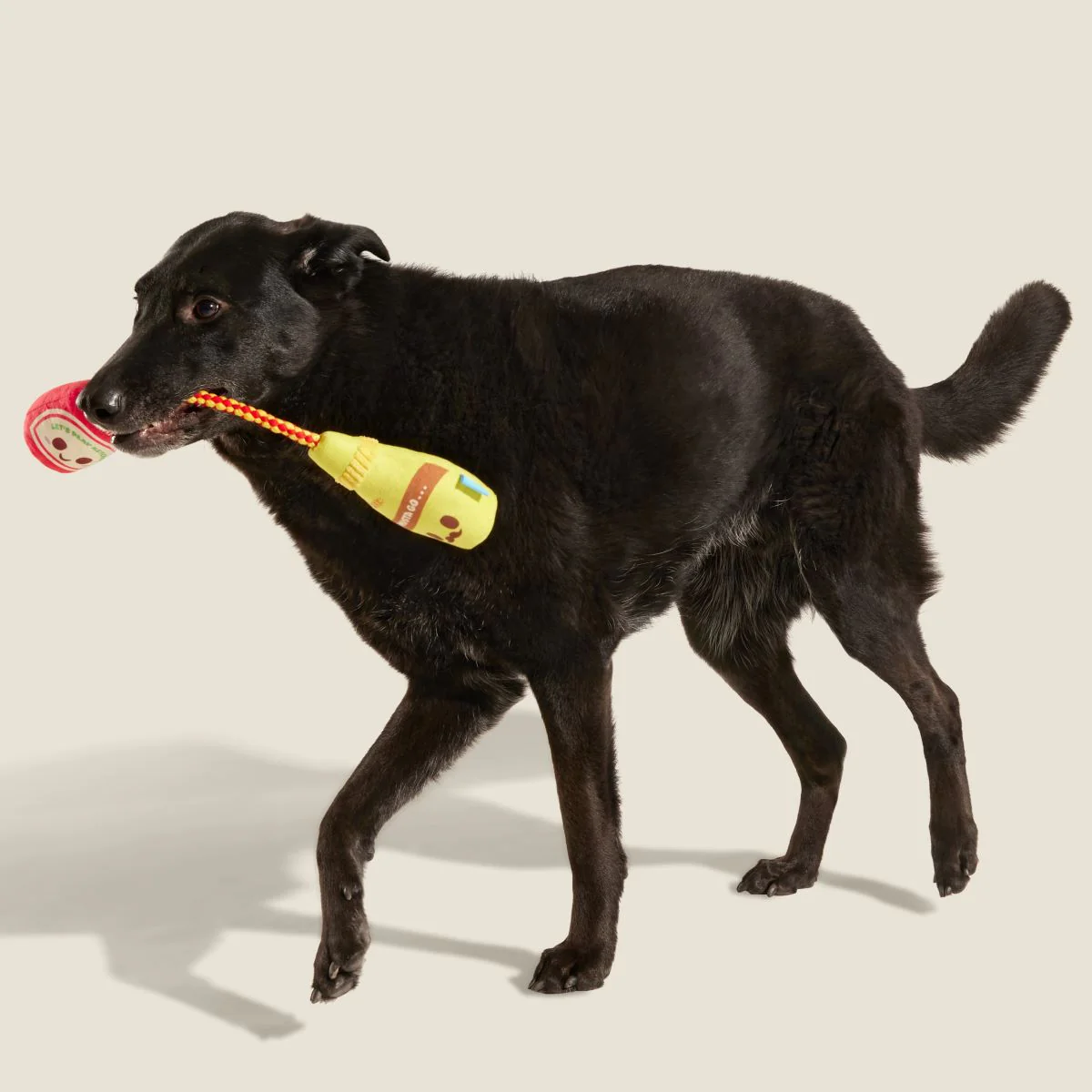 Cat & Mutt Condimutts Plush Tug Dog Toy - Image 4