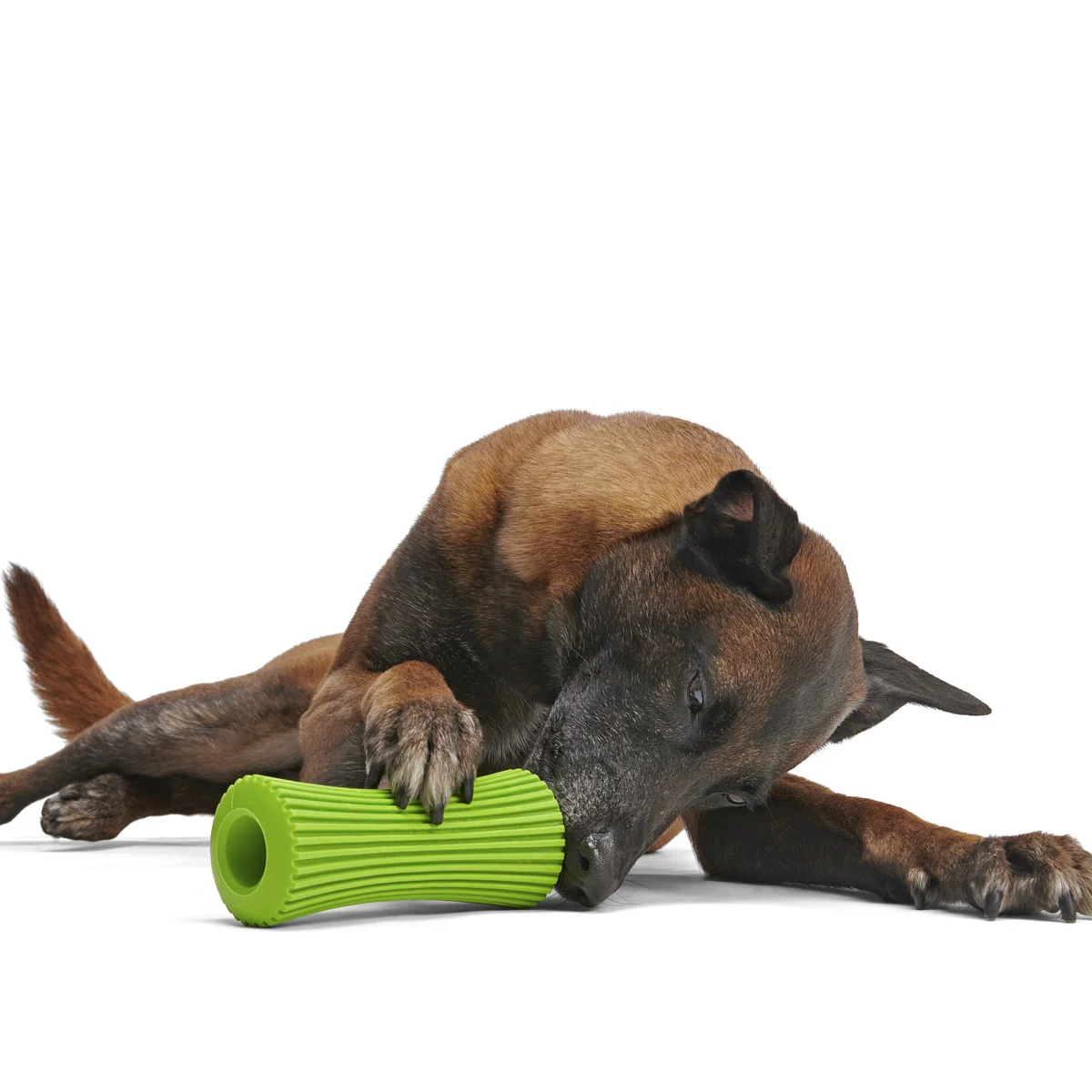 Celery Super Chewer Durable Fetch + Enrichment Dog Toy - Image 4