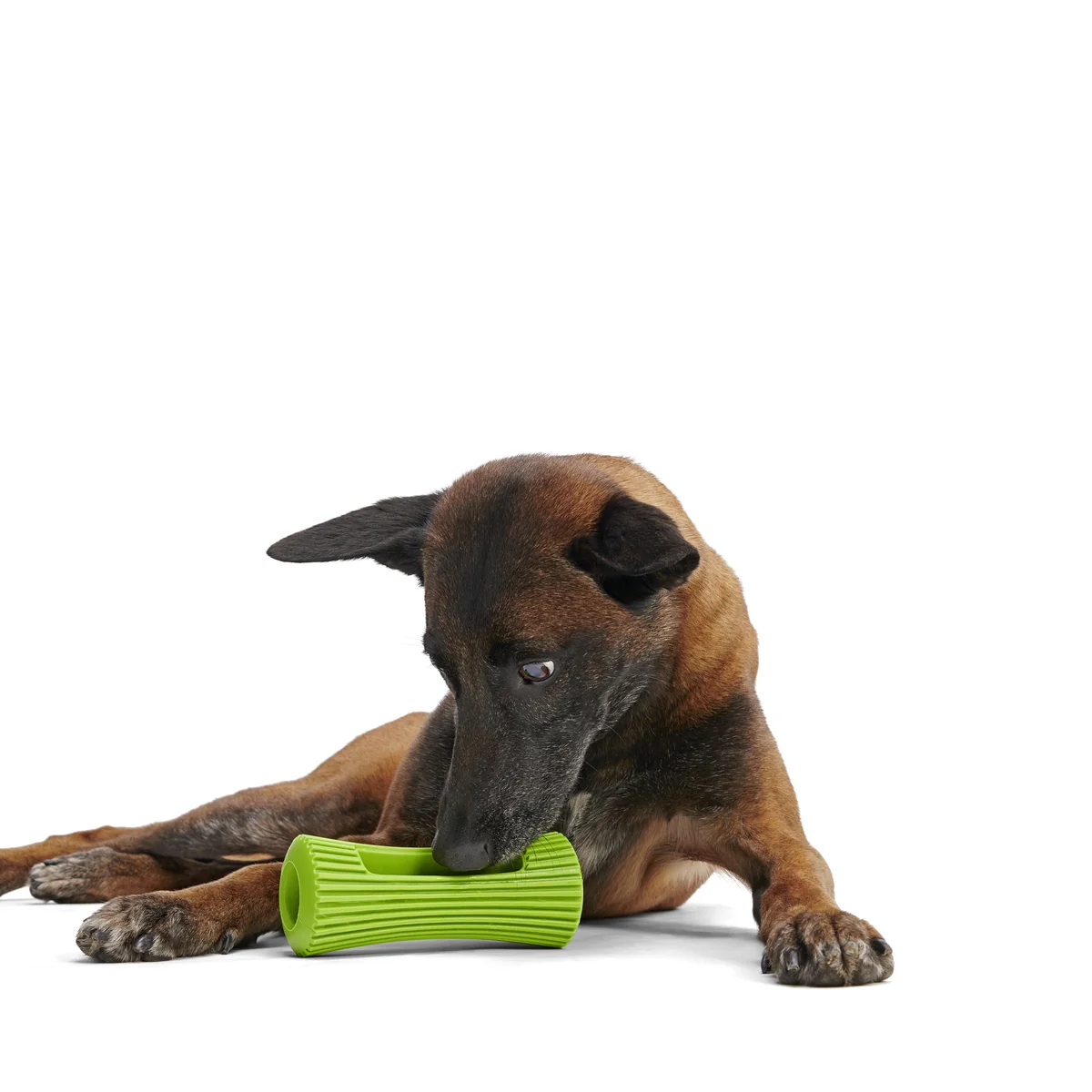 Celery Super Chewer Durable Fetch + Enrichment Dog Toy - Image 5
