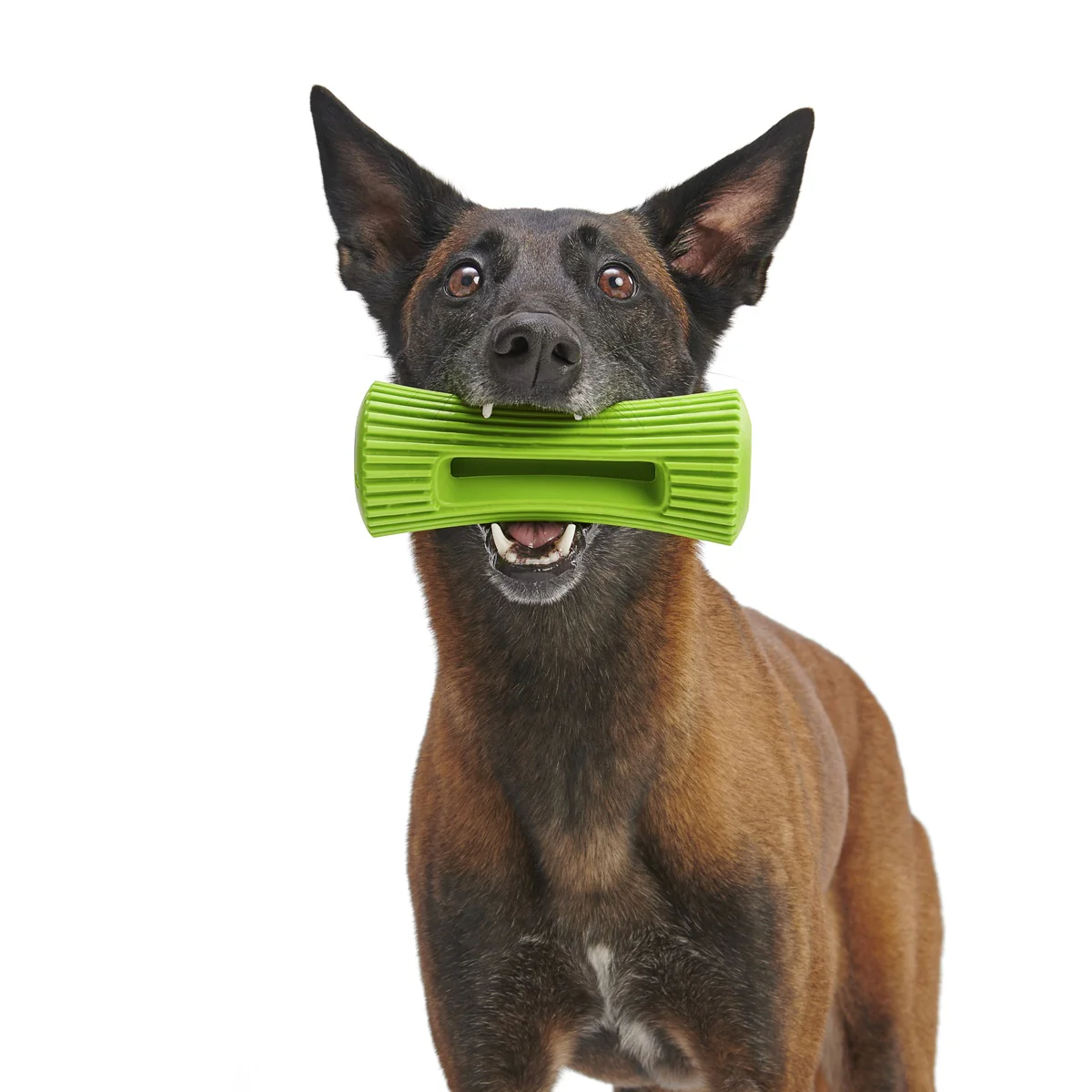Celery Super Chewer Durable Fetch + Enrichment Dog Toy - Image 6
