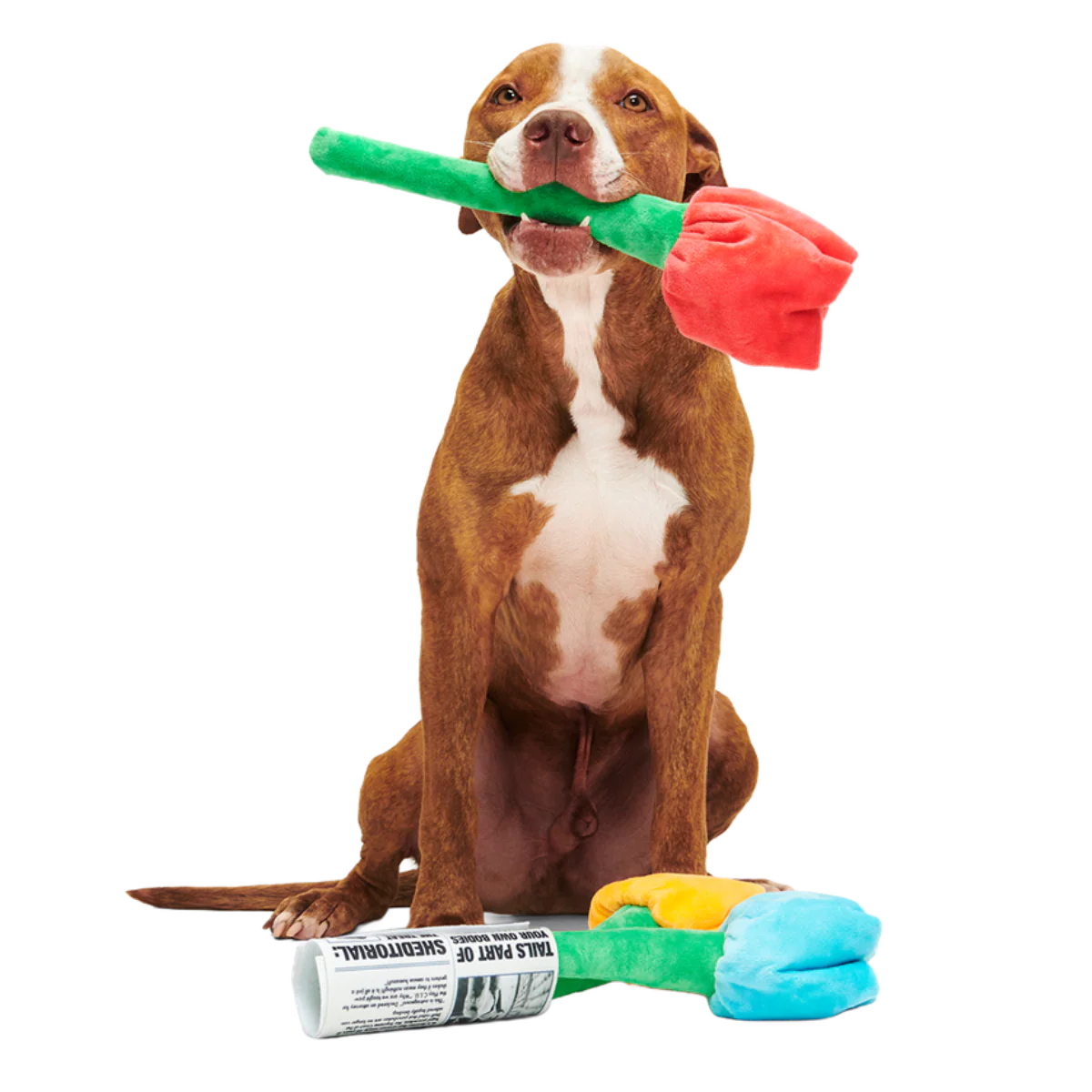 Cheer Up Boopquet Plush Tug + Multi-Part + Enrichment Dog Toy - Image 2