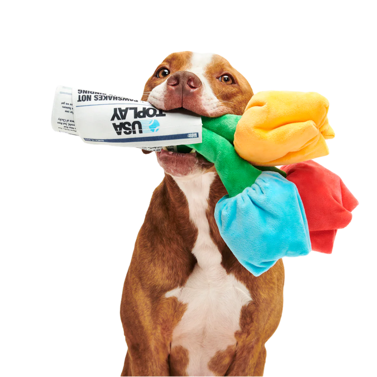 Cheer Up Boopquet Plush Tug + Multi-Part + Enrichment Dog Toy - Image 3