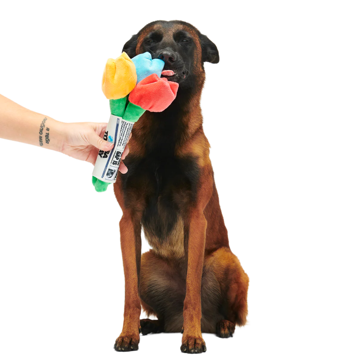 Cheer Up Boopquet Plush Tug + Multi-Part + Enrichment Dog Toy - Image 5