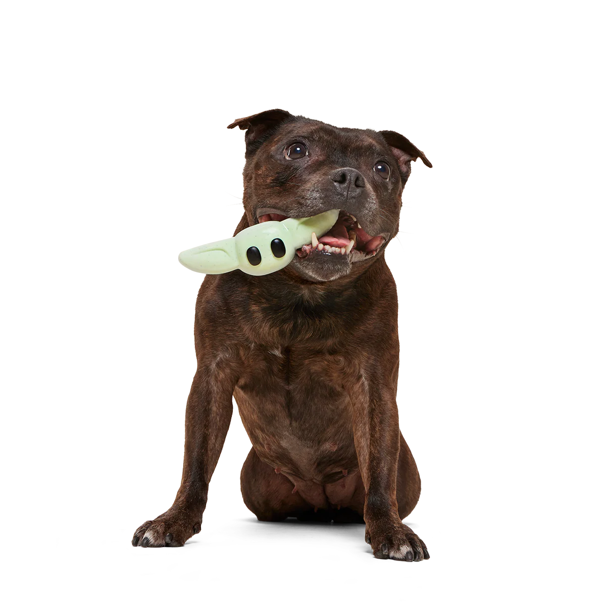 Chew and Chase Grogu⢠Super Chewer Durable Gnaw Dog Toy - Image 4