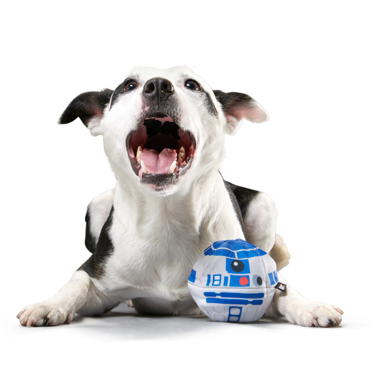Chew Are My Only Hope Super Chewer Durable 2-in-1 + Fetch Dog Toy - Image 3