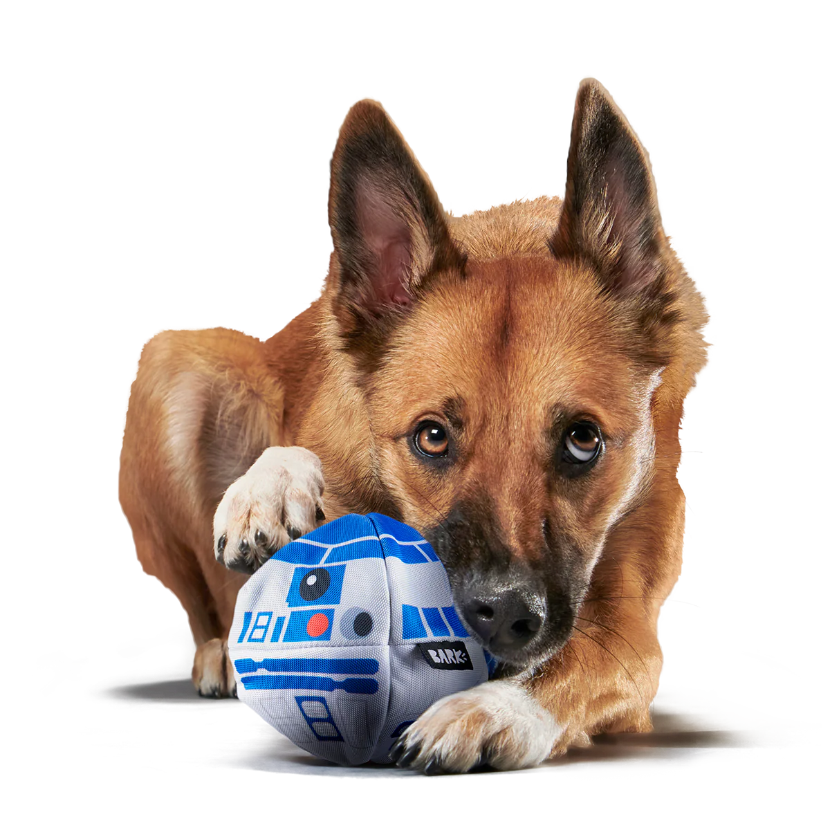 Chew Are My Only Hope Super Chewer Durable 2-in-1 + Fetch Dog Toy - Image 4