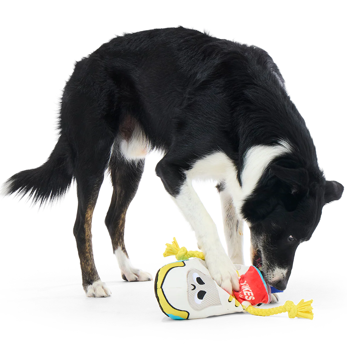 Chew Lace Chelsea Plush Tug Dog Toy - Image 4