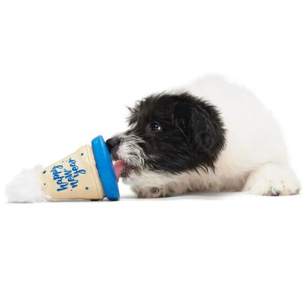 Chew Years Party Hat Durable Super Chewer Enrichment Dog Toy - Image 4