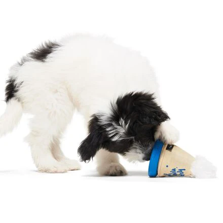 Chew Years Party Hat Durable Super Chewer Enrichment Dog Toy - Image 5