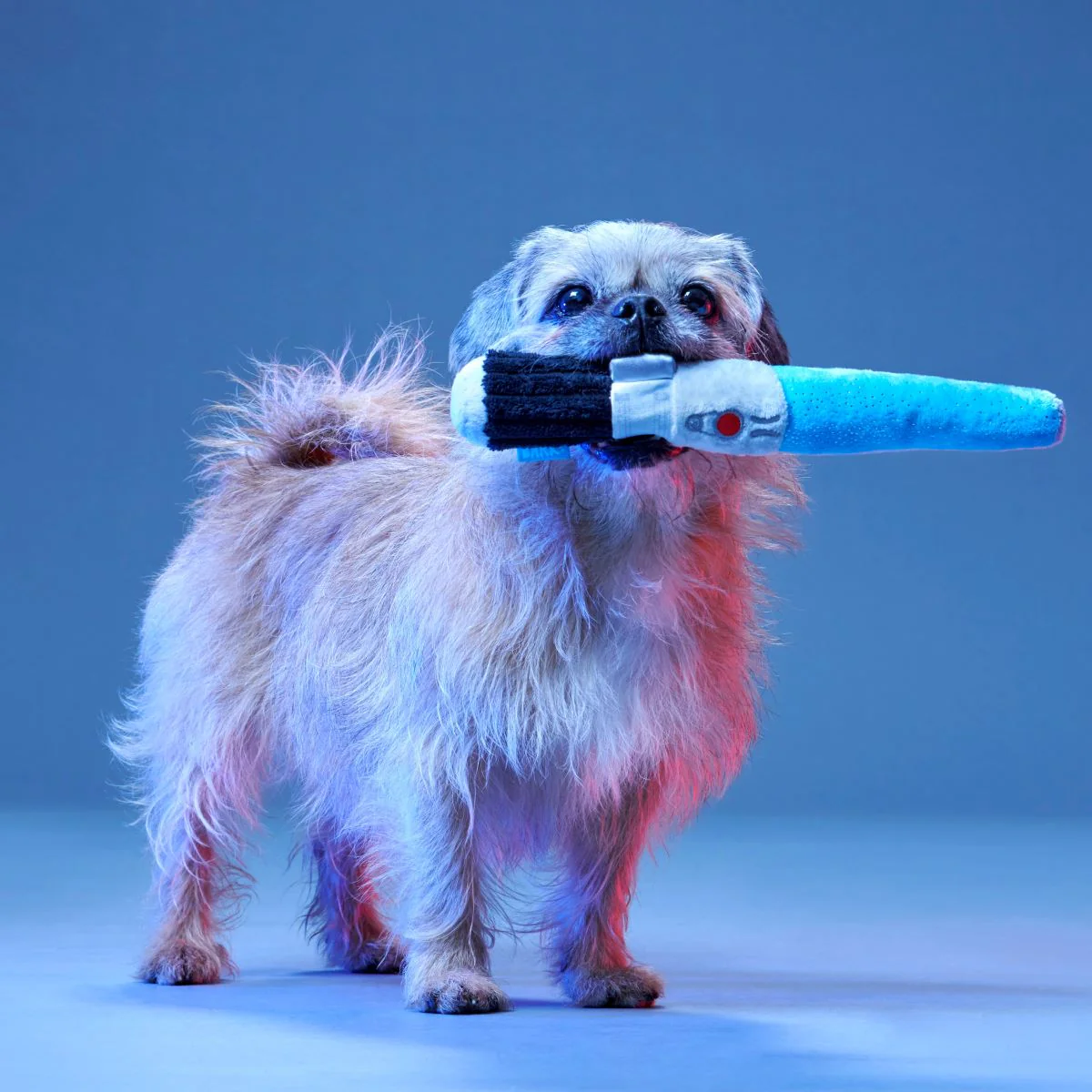 Chews Your Destiny Plush Multi-Part + Tug Dog Toy - Image 3