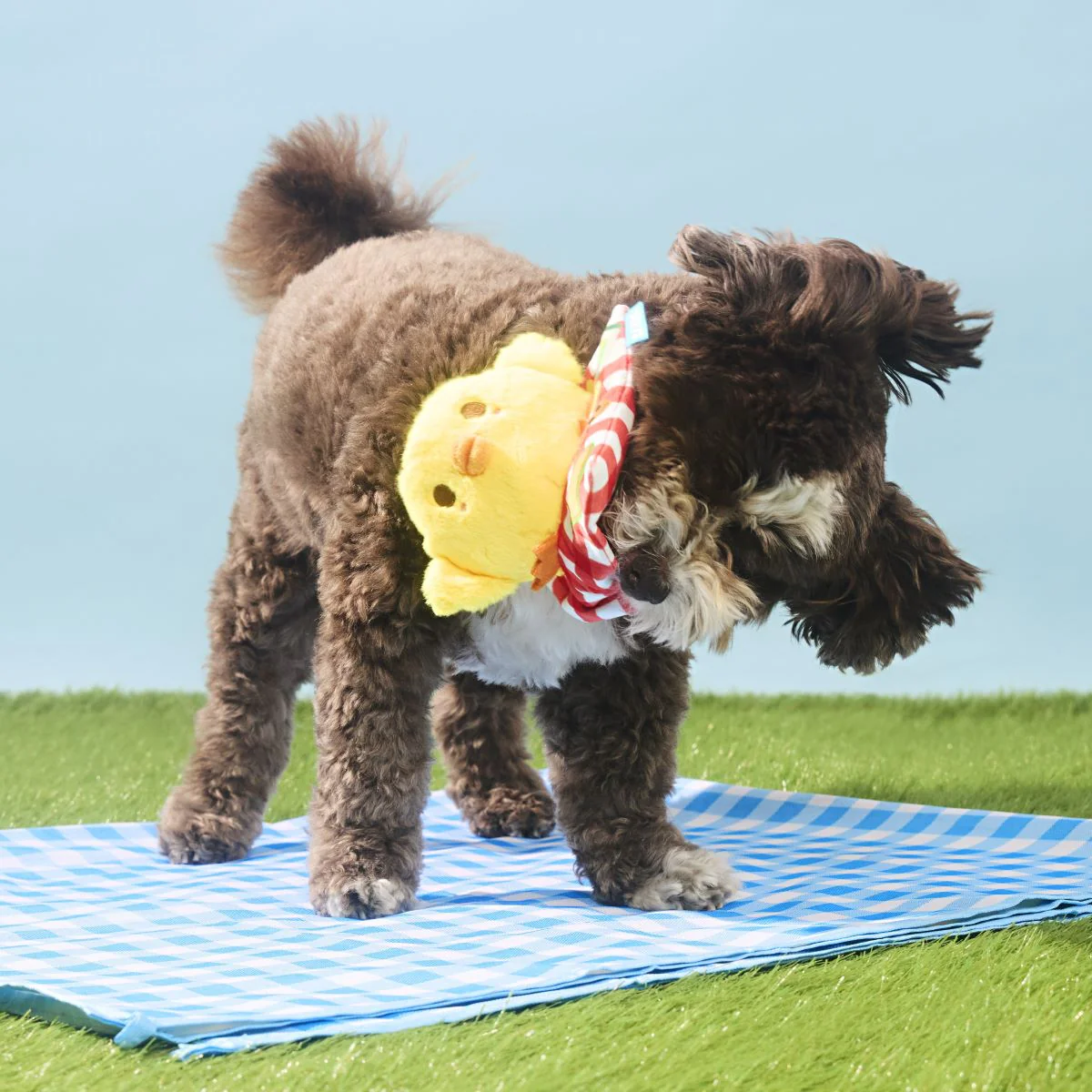 Chick-Nic Plush Tug Dog Toy - Image 3