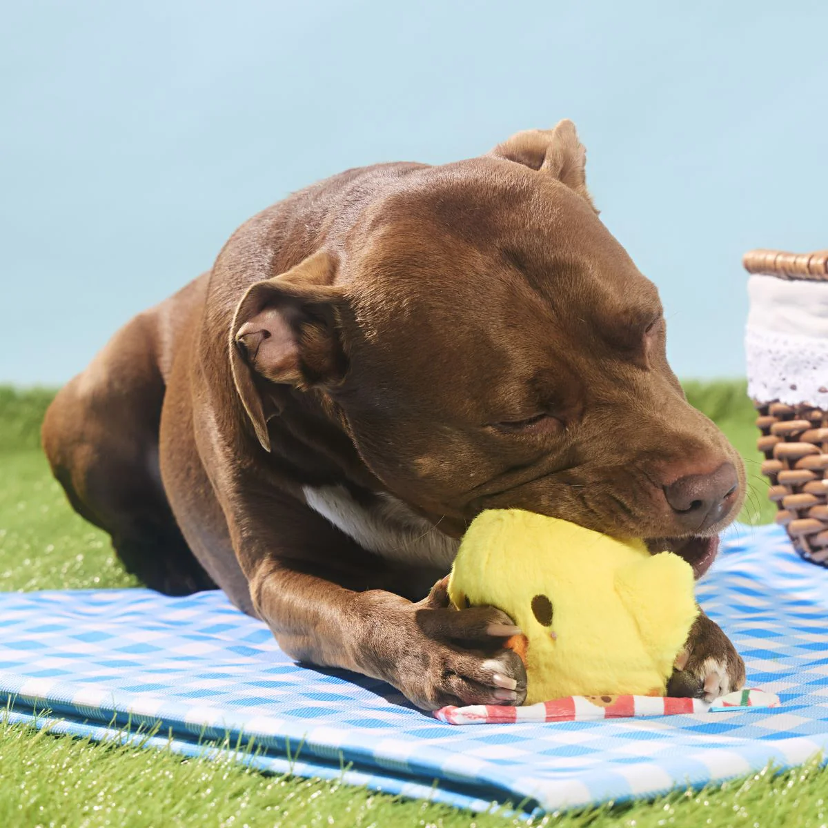Chick-Nic Plush Tug Dog Toy - Image 4