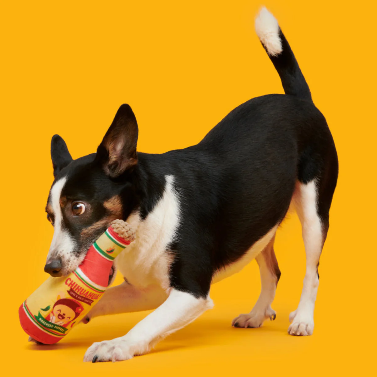 Chihuahua Hot Sauce Plush Tug Dog Toy - Image 3