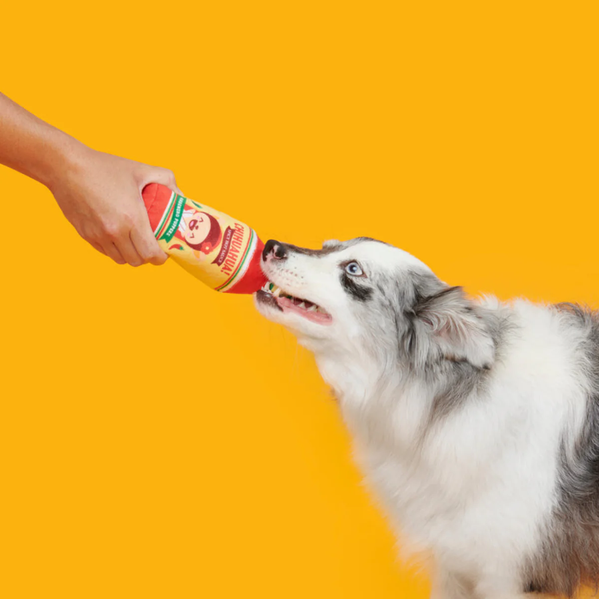 Chihuahua Hot Sauce Plush Tug Dog Toy - Image 5