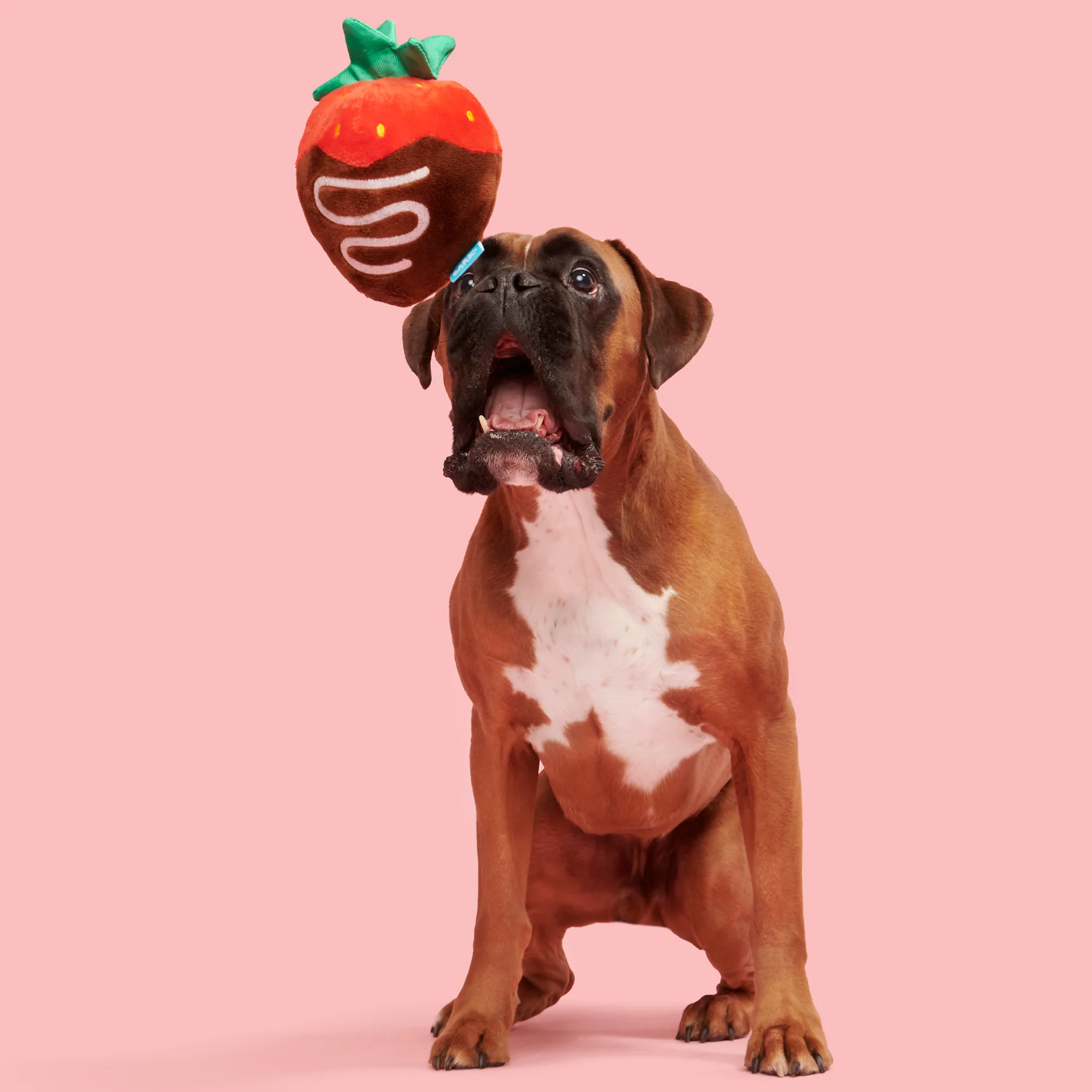 Chocolate Slobber Strawberry Plush Fetch Dog Toy - Image 3