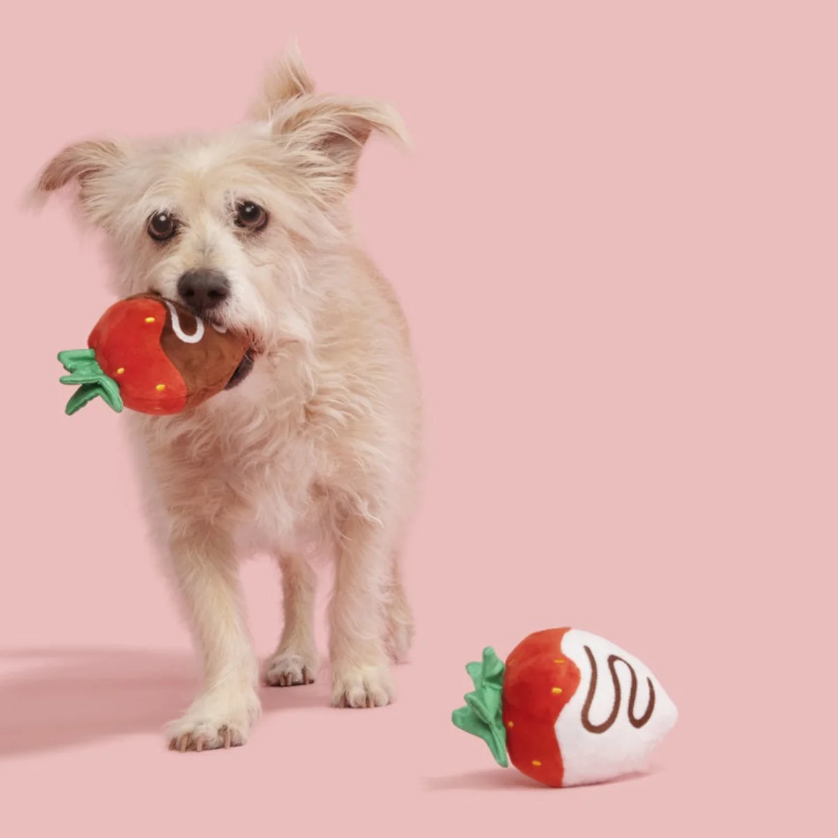 Chocolick Strawberries Plush Multi-Part Dog Toy - Image 2