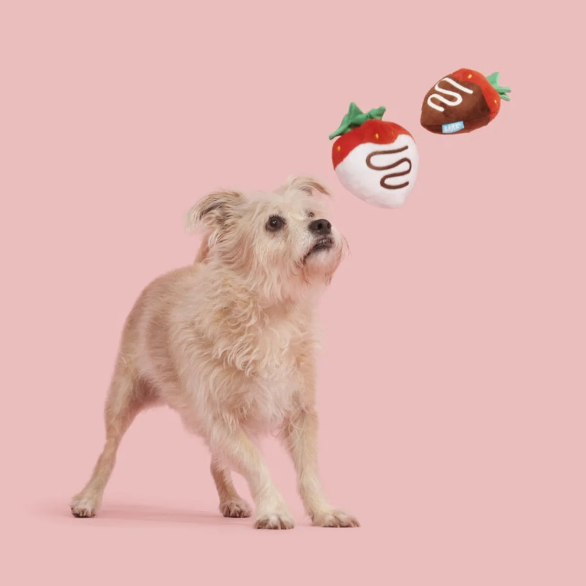 Chocolick Strawberries Plush Multi-Part Dog Toy - Image 3