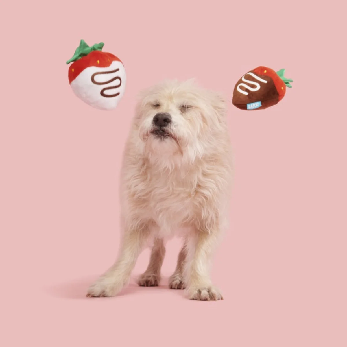 Chocolick Strawberries Plush Multi-Part Dog Toy - Image 4