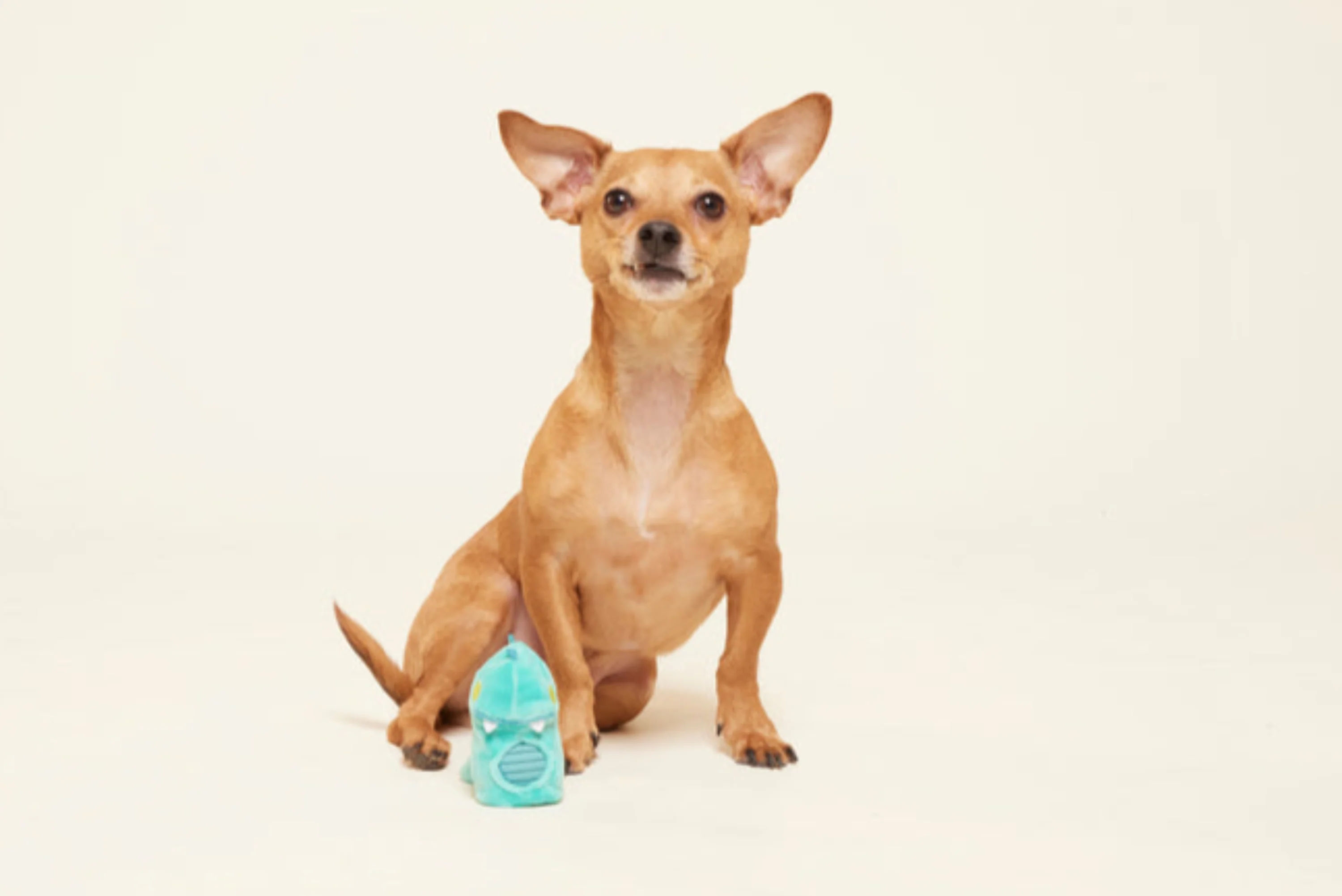 Chomposaurus Super Chewer Durable 2-in-1 Rip and Reveal Dog Toy - Image 5