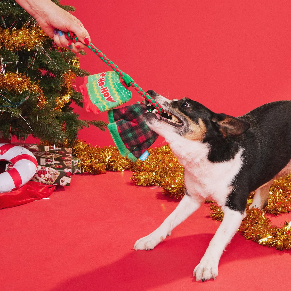 Christmutts Sweater Tug and Rope Plush Tug Dog Toy - Image 2