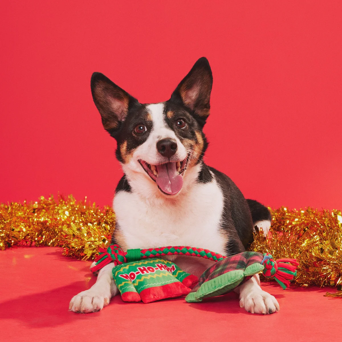 Christmutts Sweater Tug and Rope Plush Tug Dog Toy - Image 3