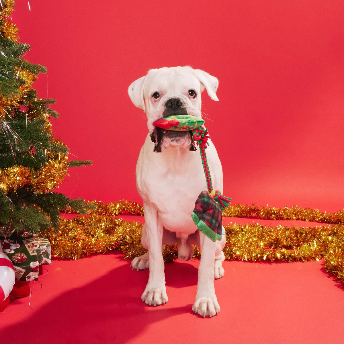 Christmutts Sweater Tug and Rope Plush Tug Dog Toy - Image 4