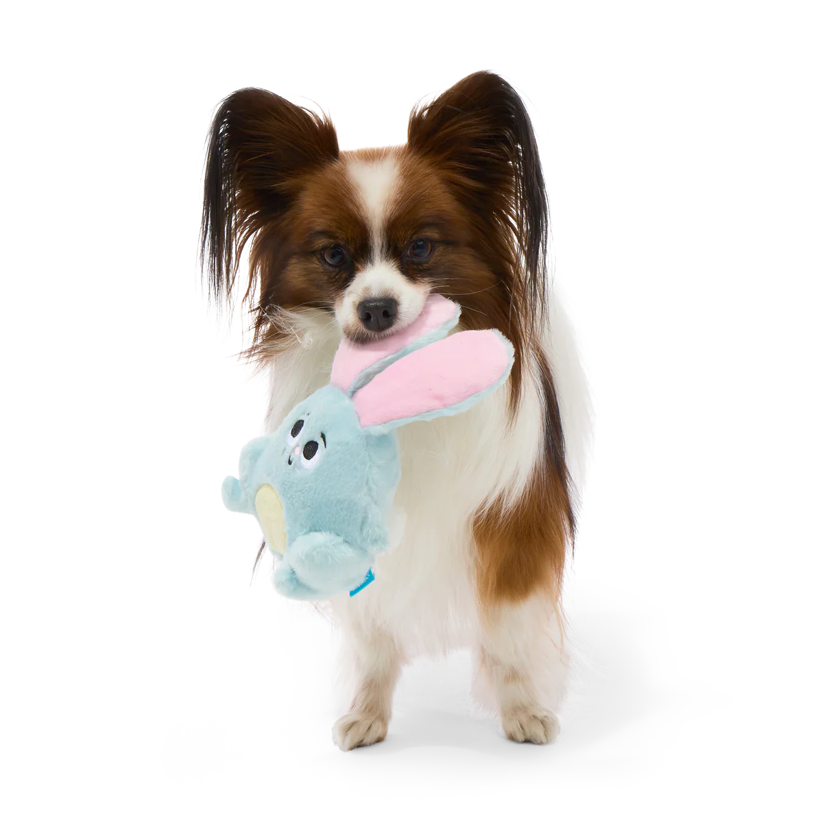 Eavesdropper Evie Plush Tug Dog Toy - Image 2