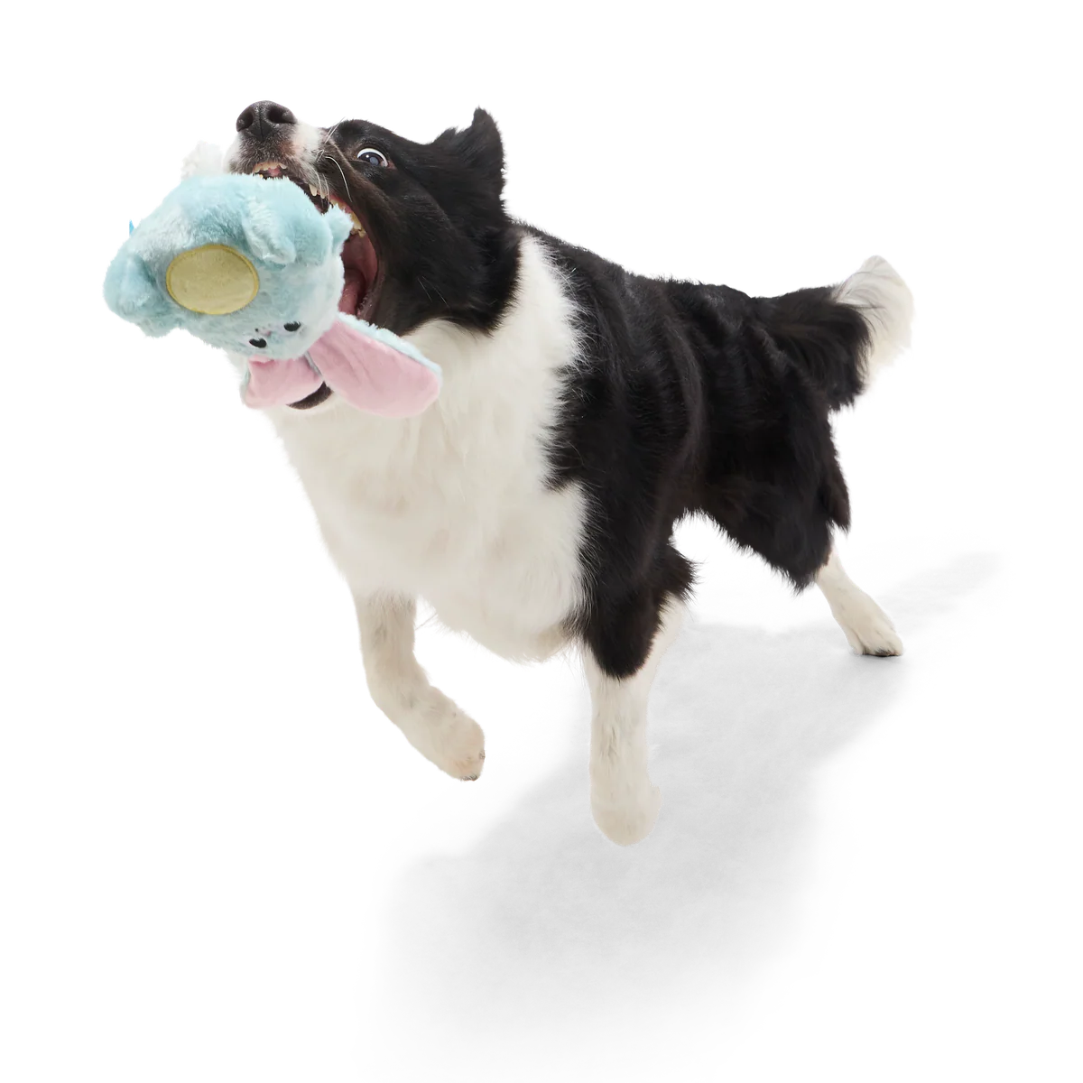Eavesdropper Evie Plush Tug Dog Toy - Image 4