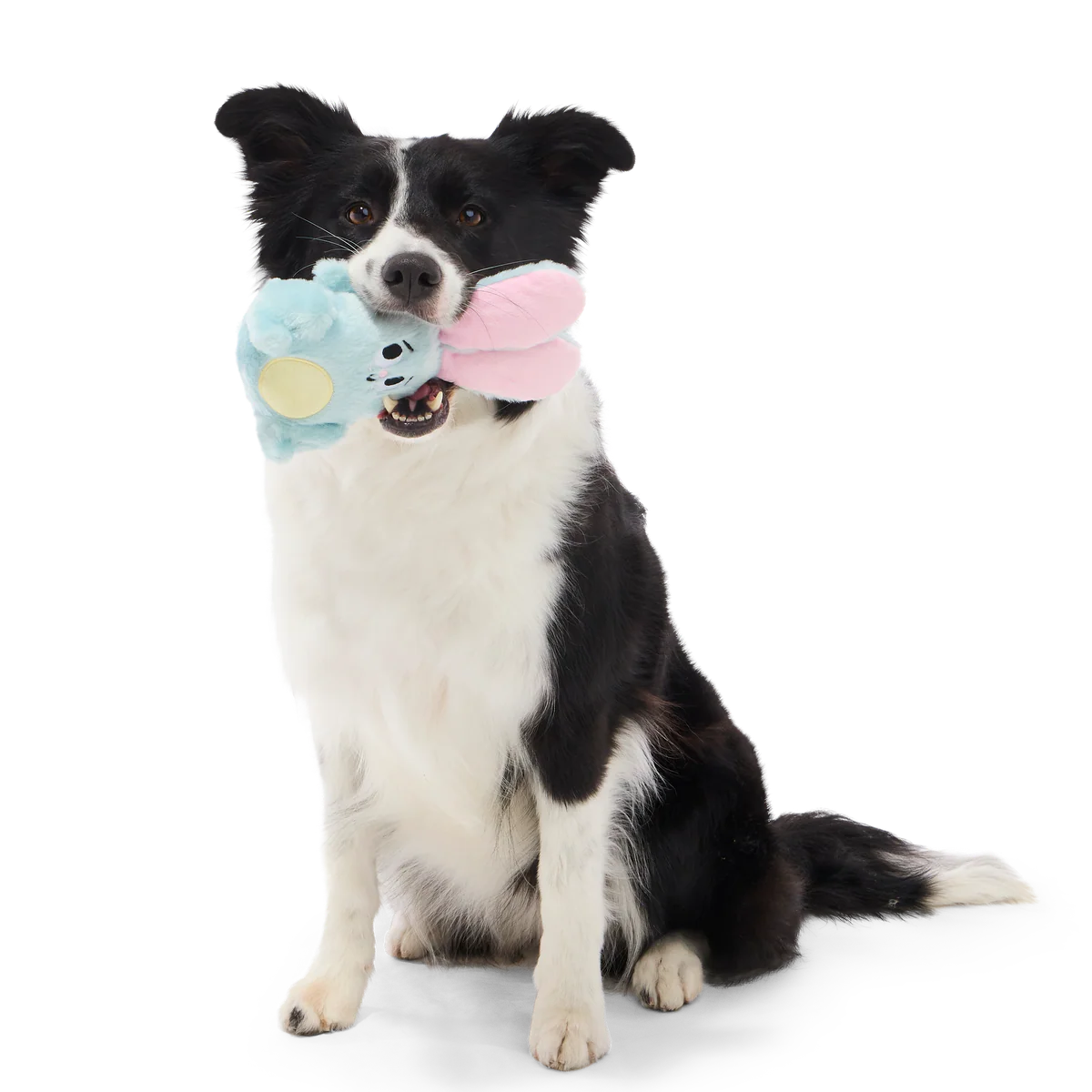 Eavesdropper Evie Plush Tug Dog Toy - Image 5