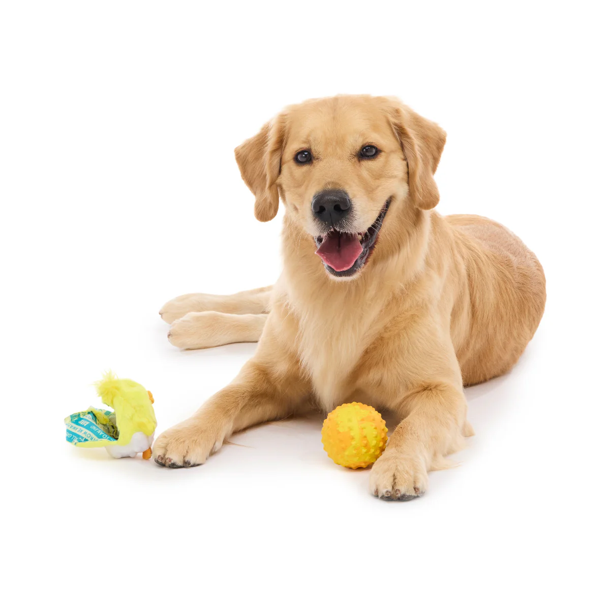 Chuck the Chick Durable Super Chewer 2-in-1 Rip and Reveal + Fetch Dog Toy - Image 4