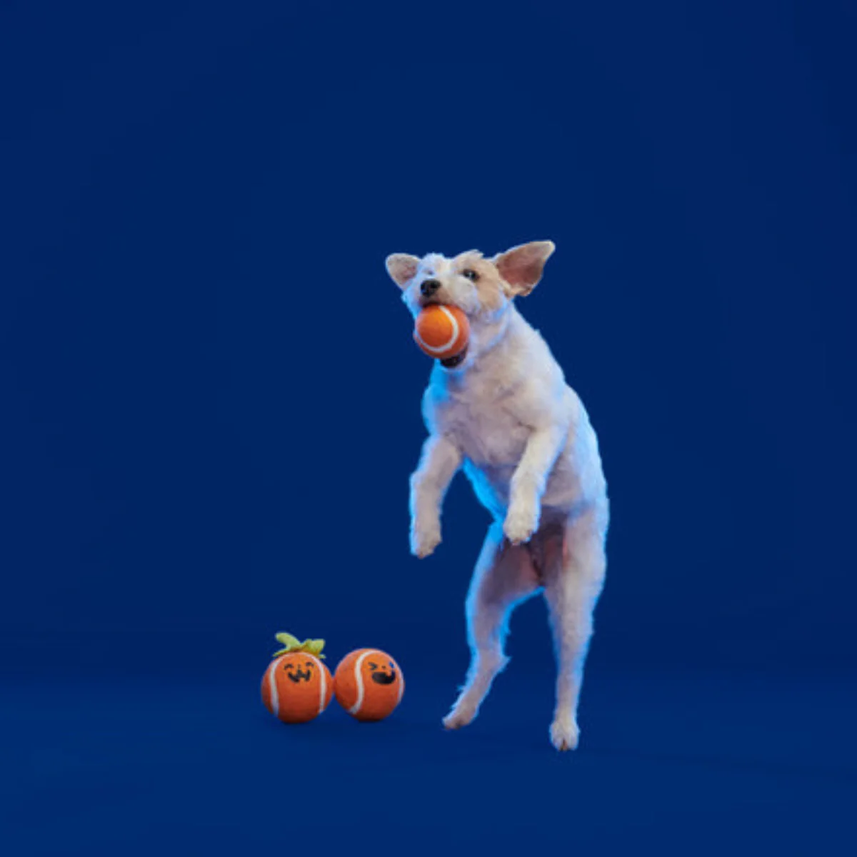 Chuckin' Punkins Plush Multi-Part Fetch Dog Toy - Image 2