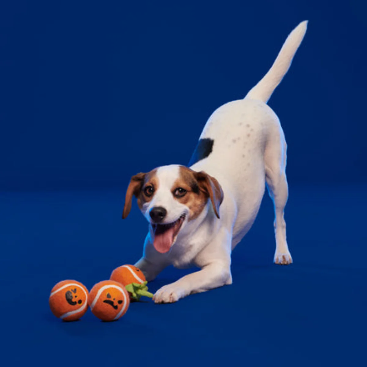 Chuckin' Punkins Plush Multi-Part Fetch Dog Toy - Image 3