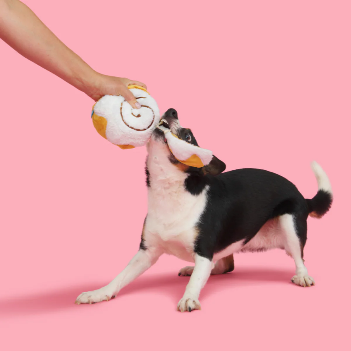 Cinnamon Growl Plush Enrichment Dog Toy - Image 4
