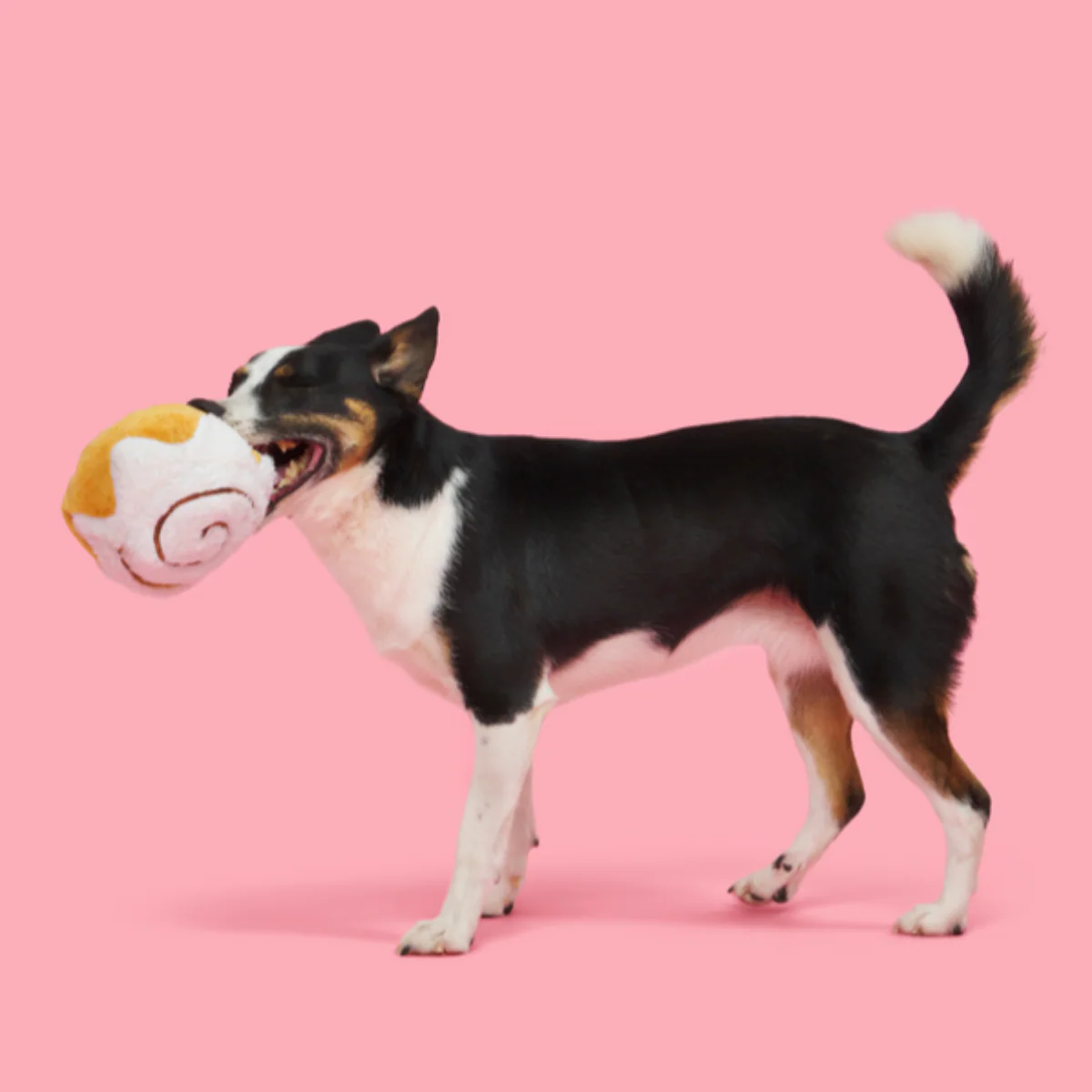 Cinnamon Growl Plush Enrichment Dog Toy - Image 5