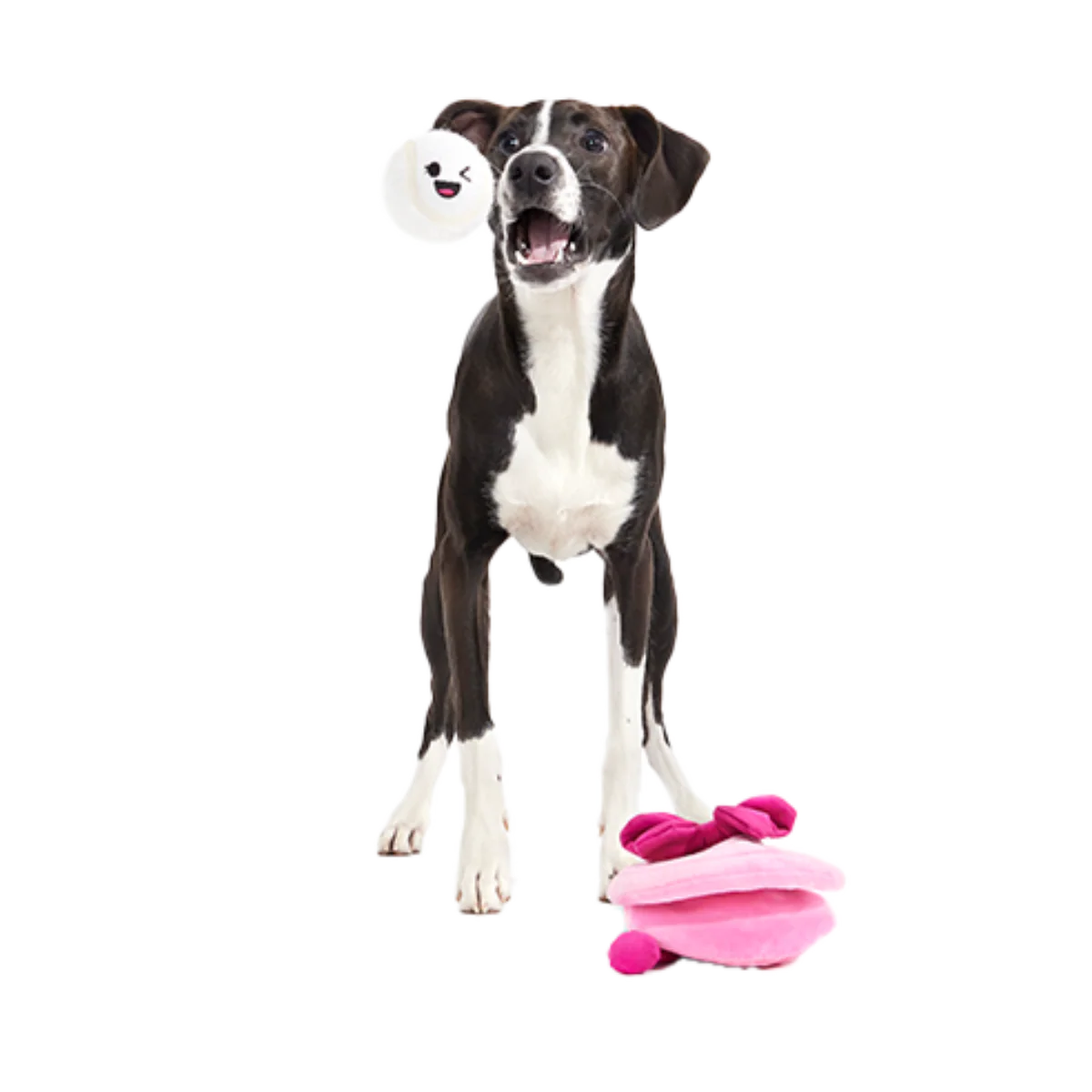 Clamantha Plush Multi-Part + Fetch Dog Toy - Image 3