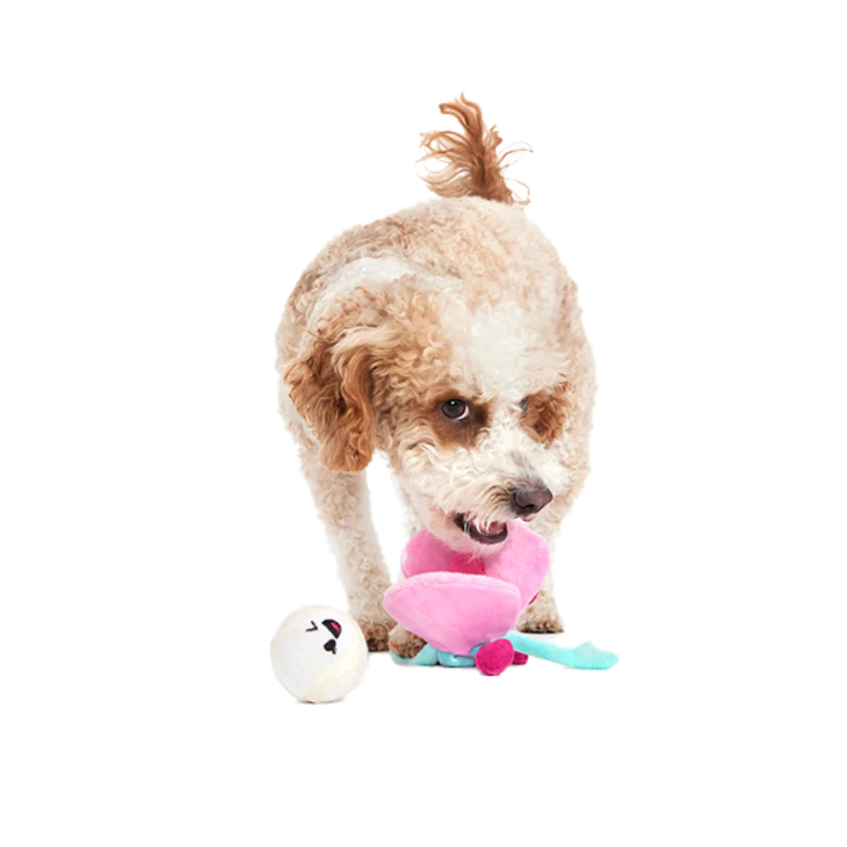 Clamantha Plush Multi-Part + Fetch Dog Toy - Image 6