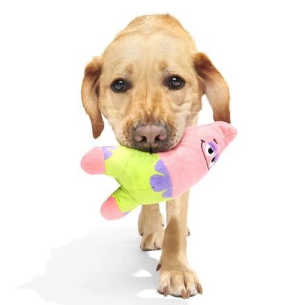 Plush SpongeBob Bundle - Image 16