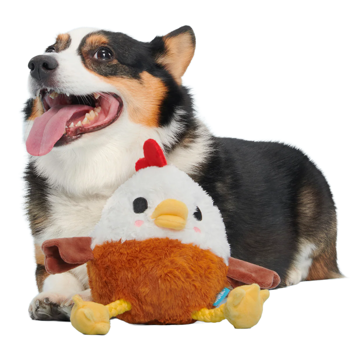 Cock-A-Doodle Dude Plush Tug + Fetch Dog Toy - Image 4