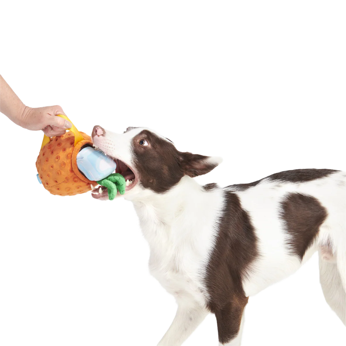 Cocktail Club, Plush Cocktail Monthly Dog Toys - Image 3