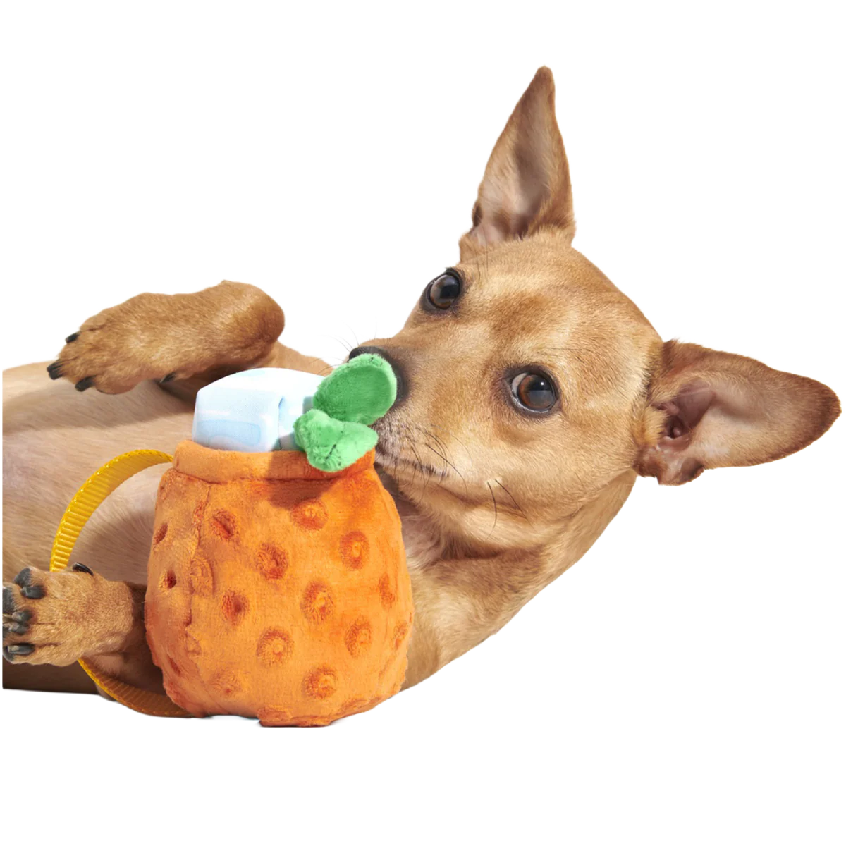 Cocktail Club, Plush Cocktail Monthly Dog Toys - Image 4